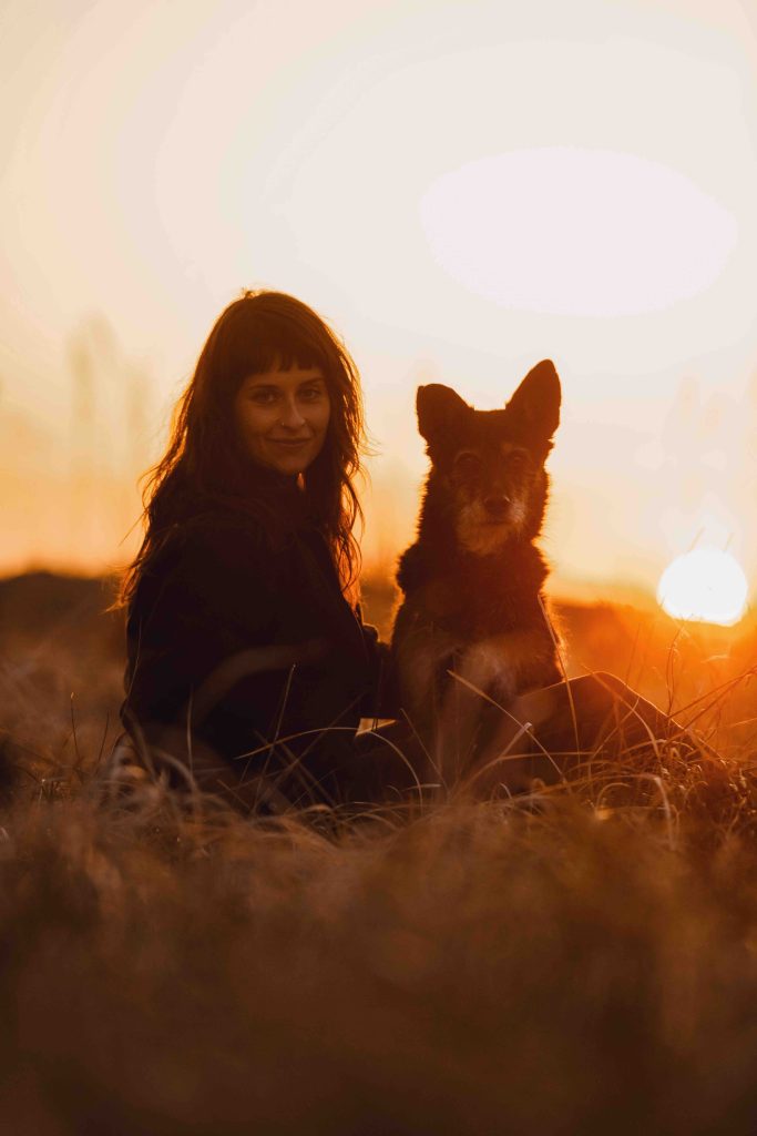 The Connection Journey, Online Retreat für HundehalterInnen, Onlinekurs Hundetraining