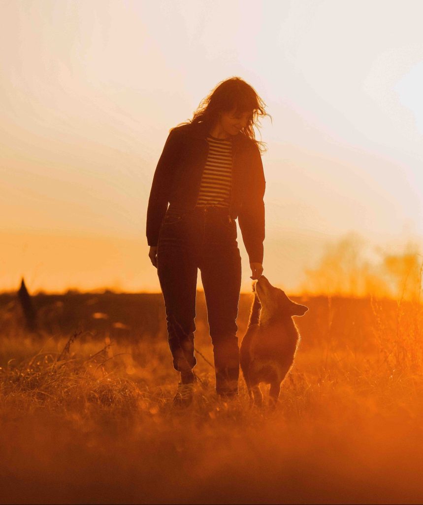 The Connection Journey, Online Retreat für HundehalterInnen, Onlinekurs Hundetraining