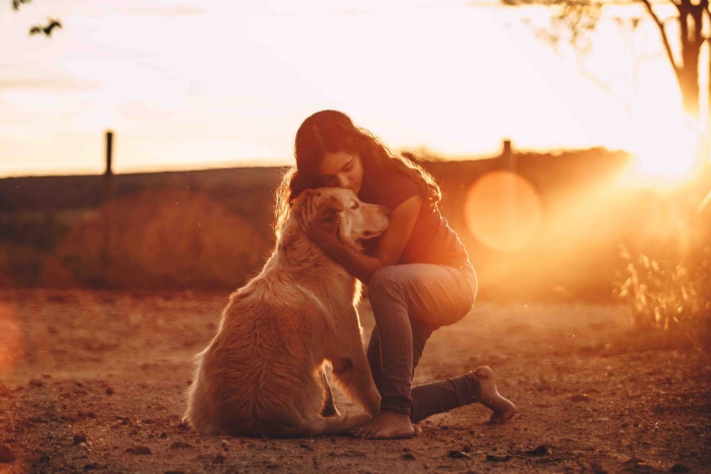 The Connection Journey, Onlinekurs für HundehalterInnen, Retreat für Hunde